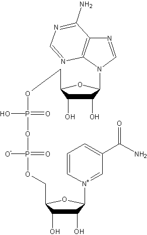 β-diphosphopyridine nucleotide structural formula