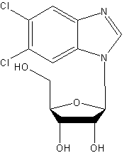 5,6-Dichloro-1-β-D-ribofuranosylbenzimidazole structural formula