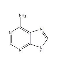 Adenine structural formula