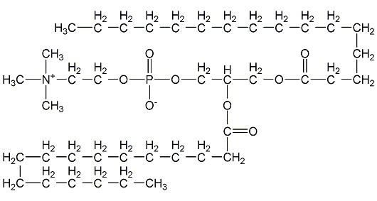 Palm bile phosphate structural formula