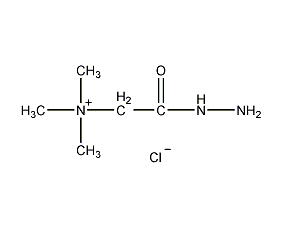 Girard Reagent T Structural Formula