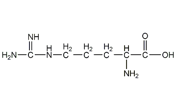 L-arginine structural formula