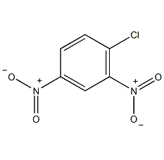 1-chloro-2,4-dinitrobenzene structural formula