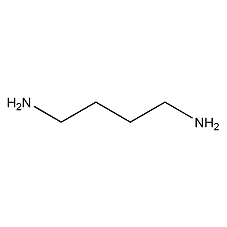 1,4-diaminobutane structural formula