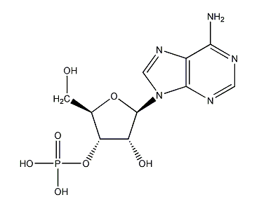 Adenylate Structural Formula
