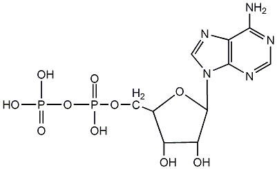 Adenosine 5'-diphosphate structural formula