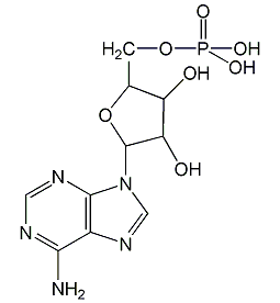 Adenosine-5'-monophosphate structural formula
