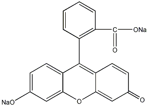 Sodium fluorescein structural formula