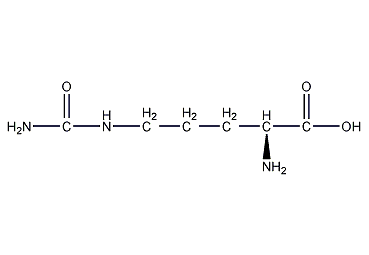 Citrulline Structural Formula